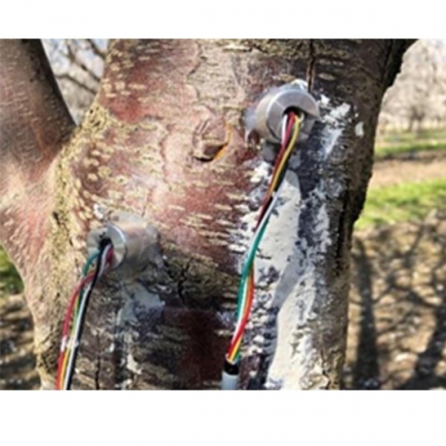 ?FloraPluse水勢(shì)傳感器