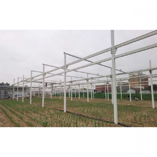 DJ-0341田間龍門式植物表型測量系統